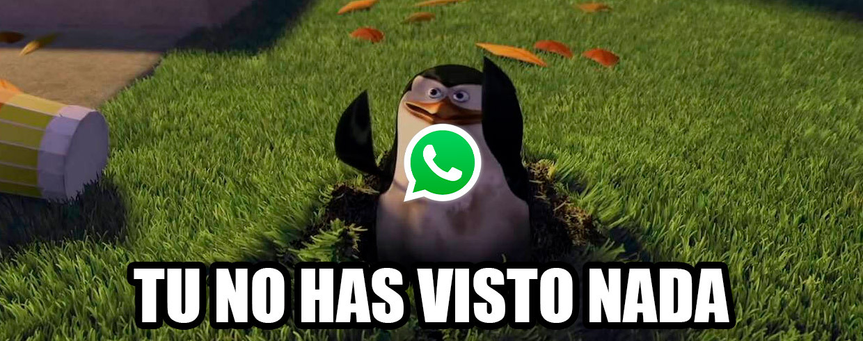 actualización whatsapp 2022